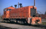 WP 605 in pumpkin